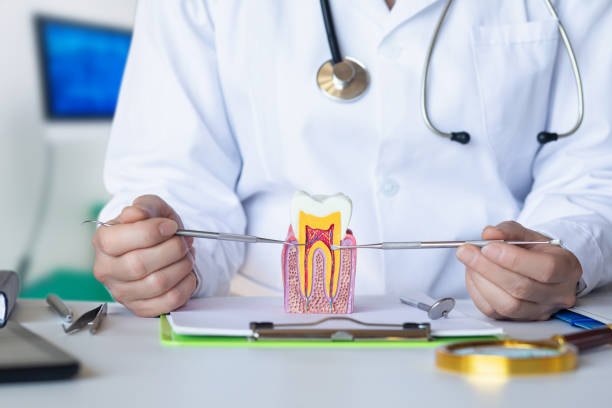Best Emergency Root Canal Therapy in Belle Fourche, SD